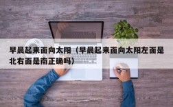 早晨起来面向太阳（早晨起来面向太阳左面是北右面是南正确吗）