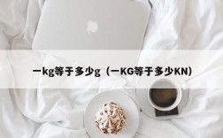 一kg等于多少g（一KG等于多少KN）