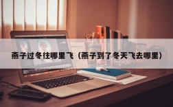燕子过冬往哪里飞（燕子到了冬天飞去哪里）
