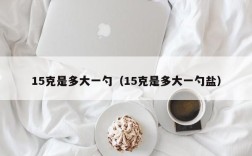 15克是多大一勺（15克是多大一勺盐）