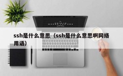ssh是什么意思（ssh是什么意思啊网络用语）