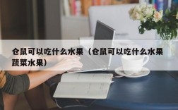 仓鼠可以吃什么水果（仓鼠可以吃什么水果 蔬菜水果）