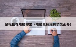 鼠标插在电脑哪里（电脑鼠标没有了怎么办）
