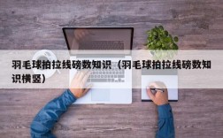羽毛球拍拉线磅数知识（羽毛球拍拉线磅数知识横竖）