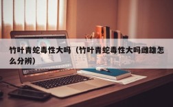 竹叶青蛇毒性大吗（竹叶青蛇毒性大吗雌雄怎么分辨）