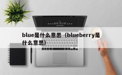blue是什么意思（blueberry是什么意思）