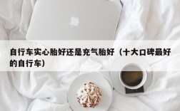 自行车实心胎好还是充气胎好（十大口碑最好的自行车）