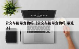 公交车能带宠物吗（公交车能带宠物吗 带笼子）