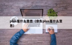 plus是什么意思（京东plus是什么意思）