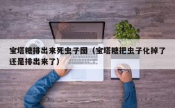 宝塔糖排出来死虫子图（宝塔糖把虫子化掉了还是排出来了）