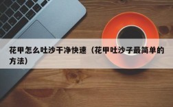 花甲怎么吐沙干净快速（花甲吐沙子最简单的方法）