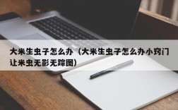 大米生虫子怎么办（大米生虫子怎么办小窍门让米虫无影无踪图）