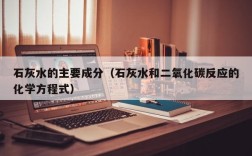石灰水的主要成分（石灰水和二氧化碳反应的化学方程式）