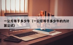 一公斤等于多少牛（一公斤等于多少牛的力计算公式）