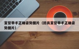 宣誓举手正确姿势图片（团员宣誓举手正确姿势图片）